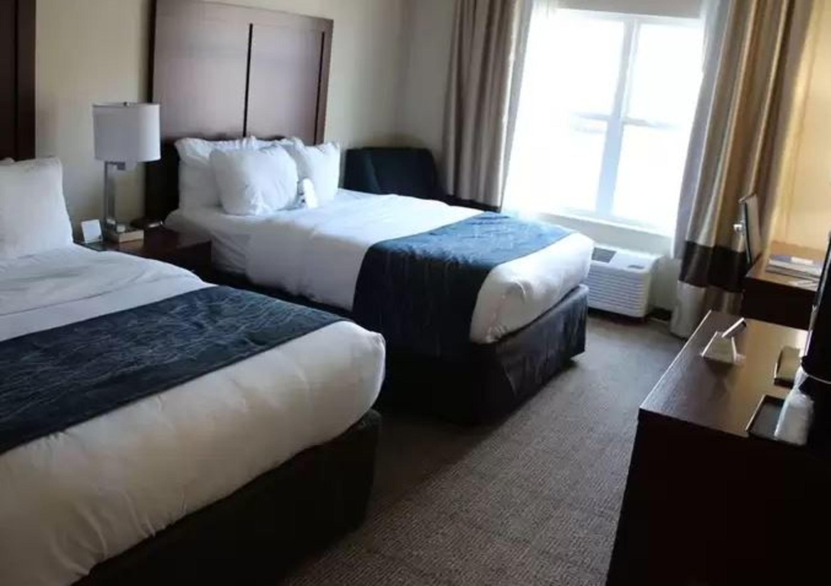 Comfort Inn & Suites Northern Kentucky Wilder Bagian luar foto