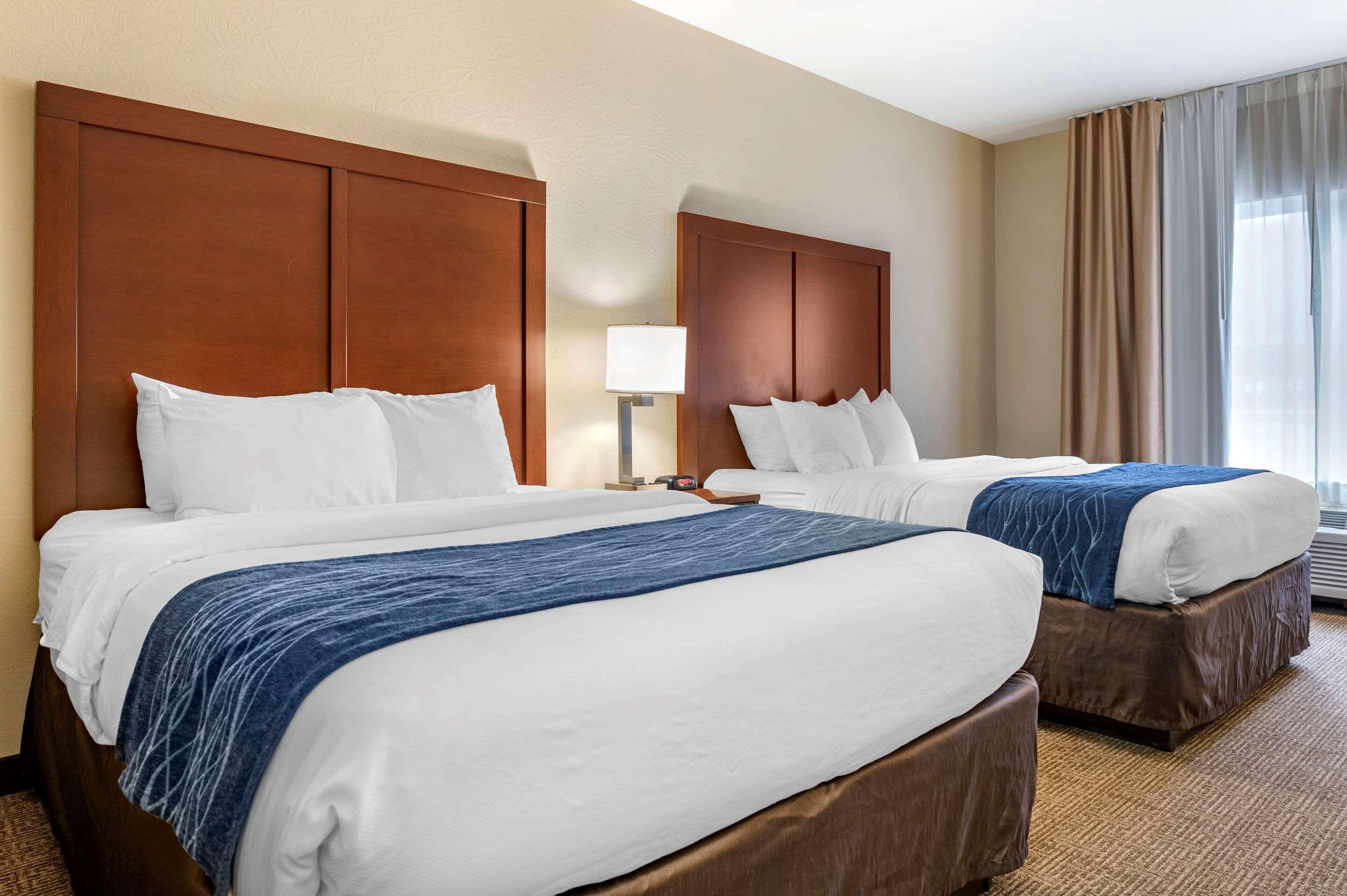 Comfort Inn & Suites Northern Kentucky Wilder Bagian luar foto